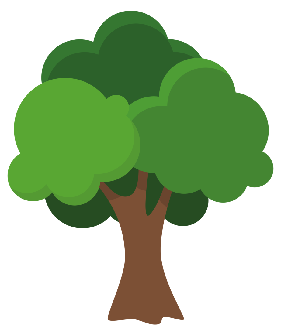 baum